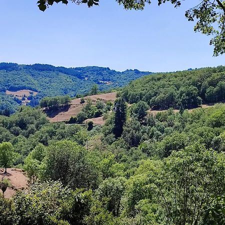 Maison Charmante A Florentin La Capelle Avec Jardin Et Vue Montagne エクステリア 写真