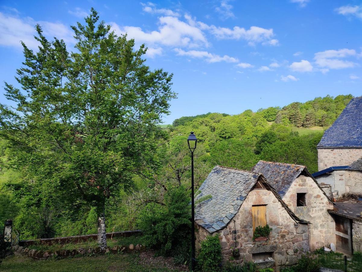 Maison Charmante A Florentin La Capelle Avec Jardin Et Vue Montagne エクステリア 写真