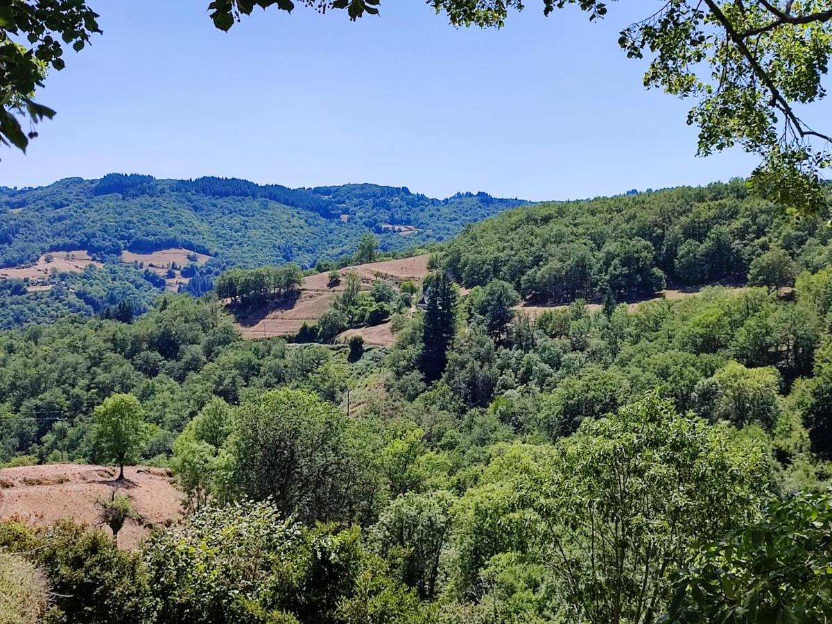 Maison Charmante A Florentin La Capelle Avec Jardin Et Vue Montagne エクステリア 写真